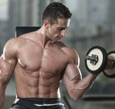 How To Work Out Biceps Without Weights