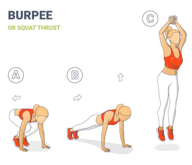 What Muscles Do Burpees Work? Benefits & How To – Speediance