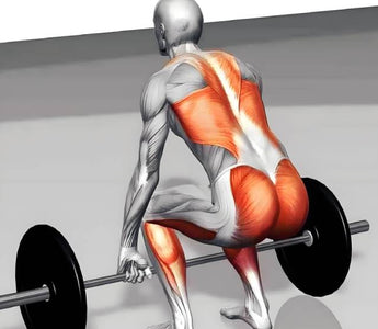 Deadlift vs. Romanian Deadlift: Differences, Benefits, How Tos