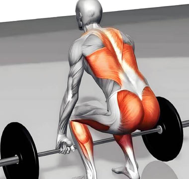 Deadlift vs. Romanian Deadlift: Differences, Benefits, How Tos