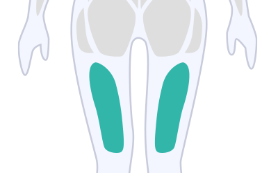 Hamstrings Exercise