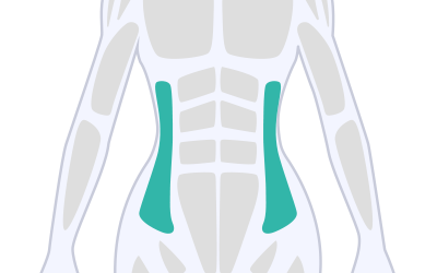 Obliques Exercise